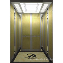 Dsk Cheap Elevator Residential Passenger Elevator, Hotel and Mall Passenger Lift